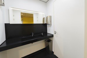 Toilet-1