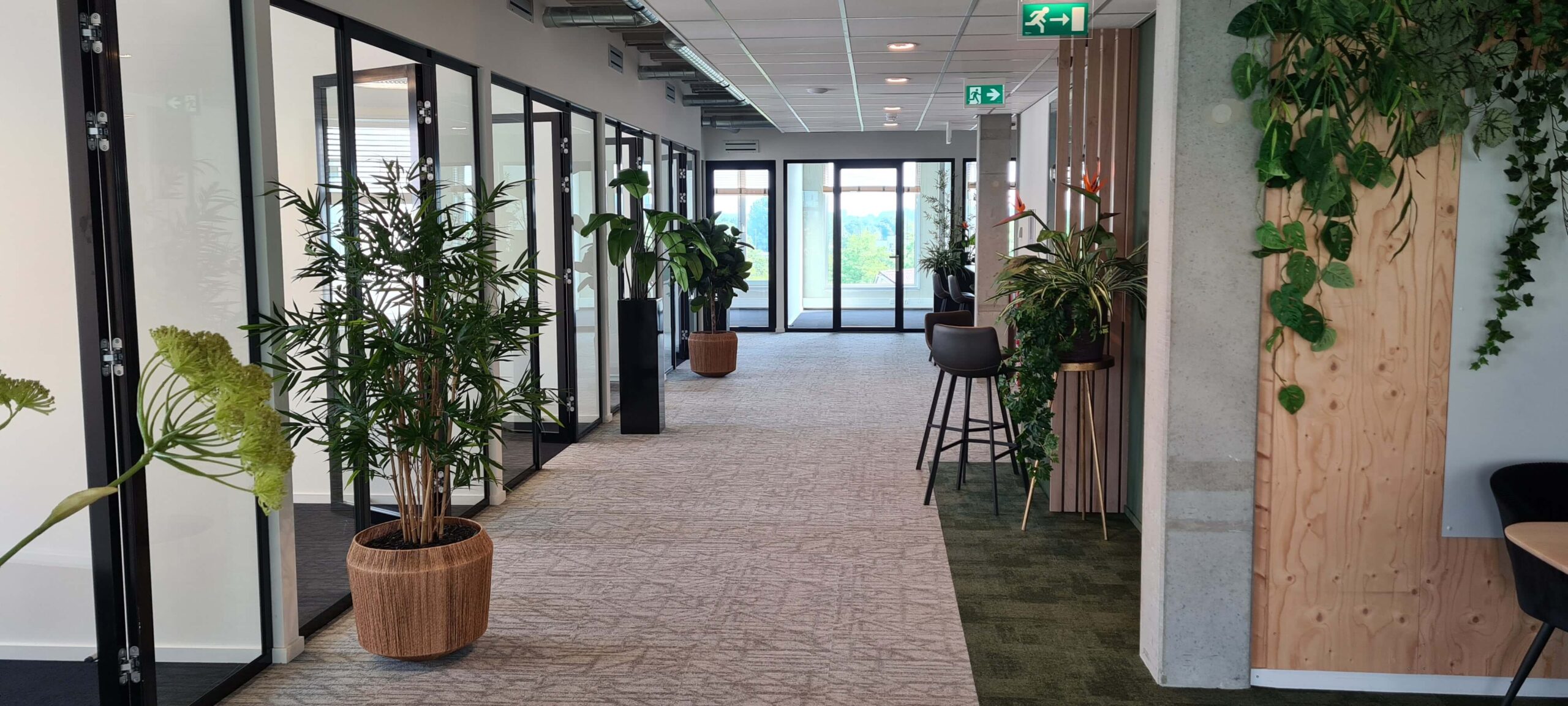 20220902_110555 Gang Zapp Office Rotterdam