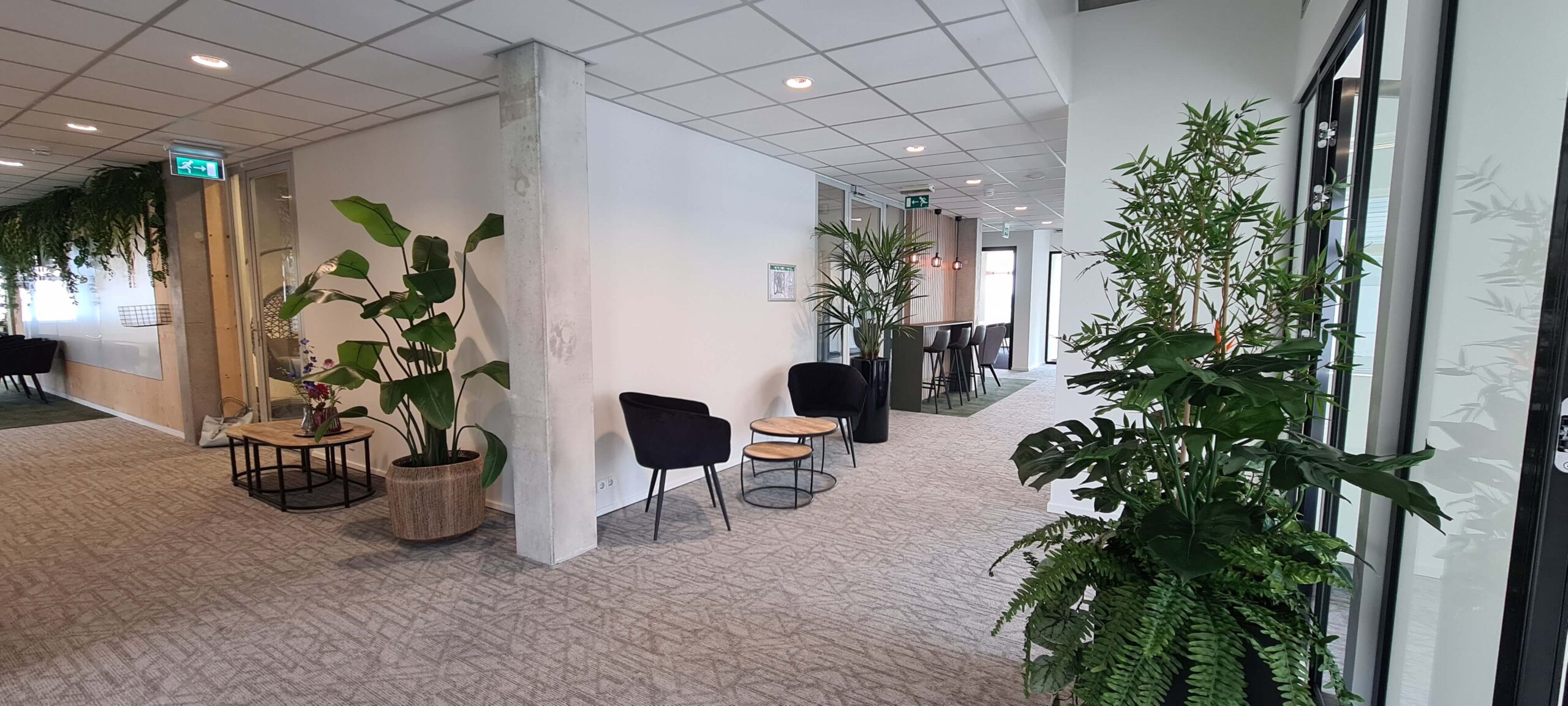 Penthouse Penthouse ZAPP office Rotterdam